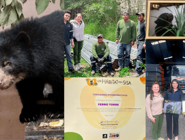 UN HÁBITAT PARA SISA